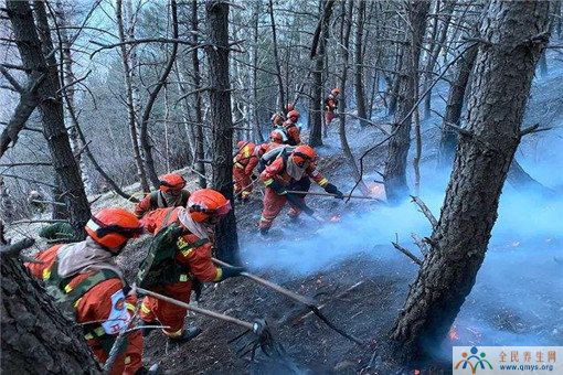 五台山发生森林火灾！起火原因是什么？是否造成人员伤亡？