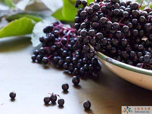 巴西莓浆果保健品是传销吗？巴西莓的功效与作用禁忌