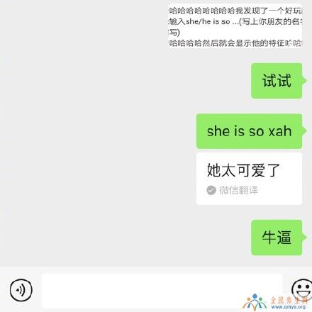 微信发输she/he is so加名字是什么梗 翻译显示个人特征方法