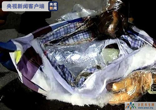 云南西双版纳警方查获一起抱枕藏毒案 缴毒7.9公斤