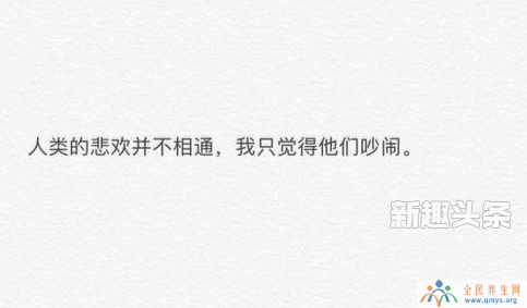 人类的悲欢并不相通下一句是什么出自哪 人类的悲欢并不相通意思