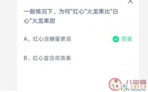 为何红心火龙果比白心火龙果甜 蚂蚁庄园4月10日答案